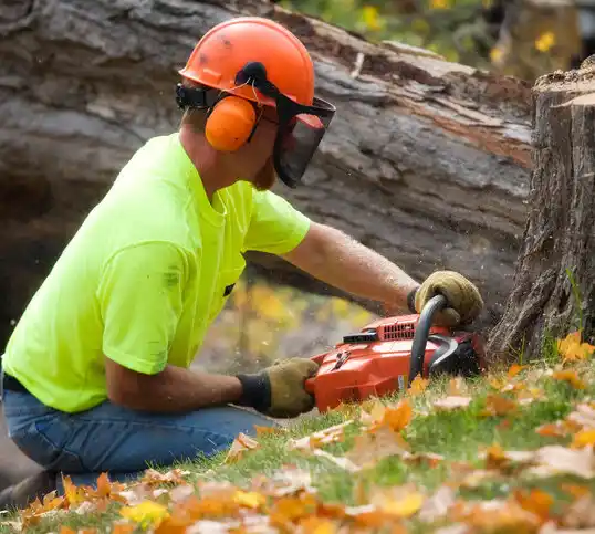 tree services Orchard Homes